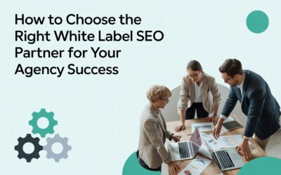 White Label SEO Partner